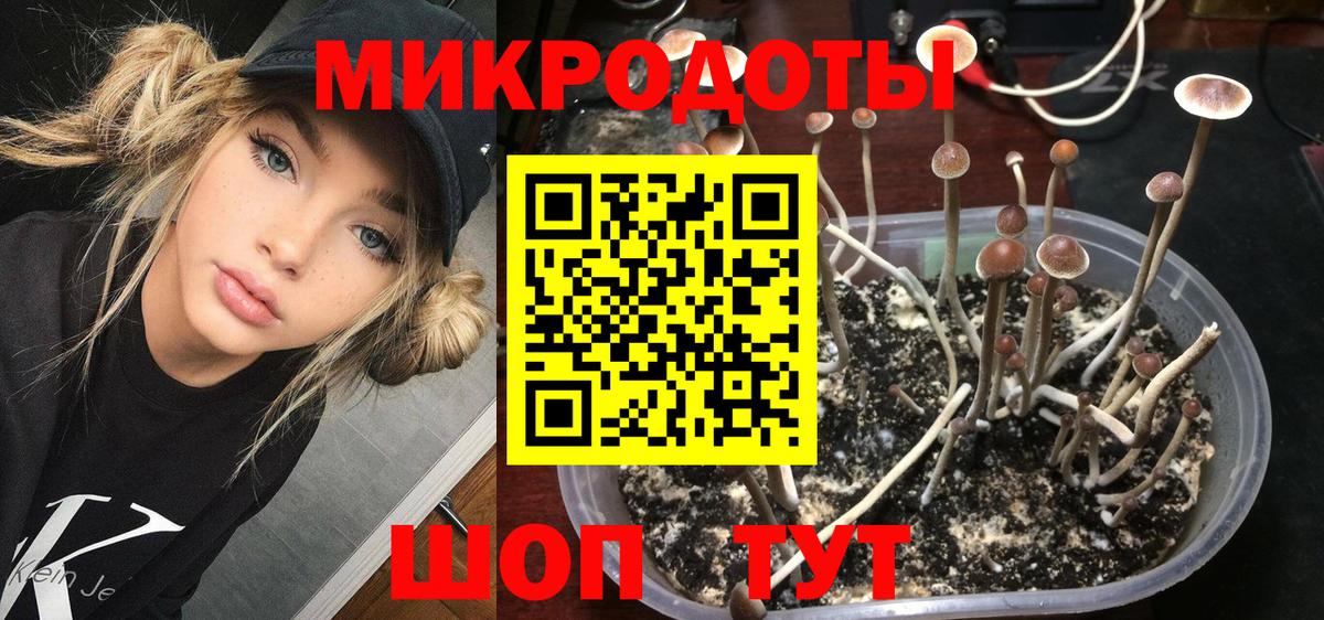 Галлюциногенные грибы ЛСД  Галлюциногенные грибы GOLDEN TEACHER  Воркута  Вход с VPN 